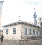 cami1.jpg (6508 bytes)