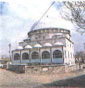 cami2.jpg (8794 bytes)
