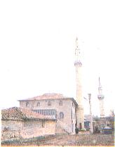 cami3.jpg (4971 bytes)