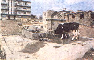 cesme1.jpg (17868 bytes)