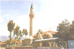 sharun1.jpg (10255 bytes)