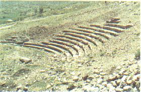 tiyatro.jpg (19168 bytes)